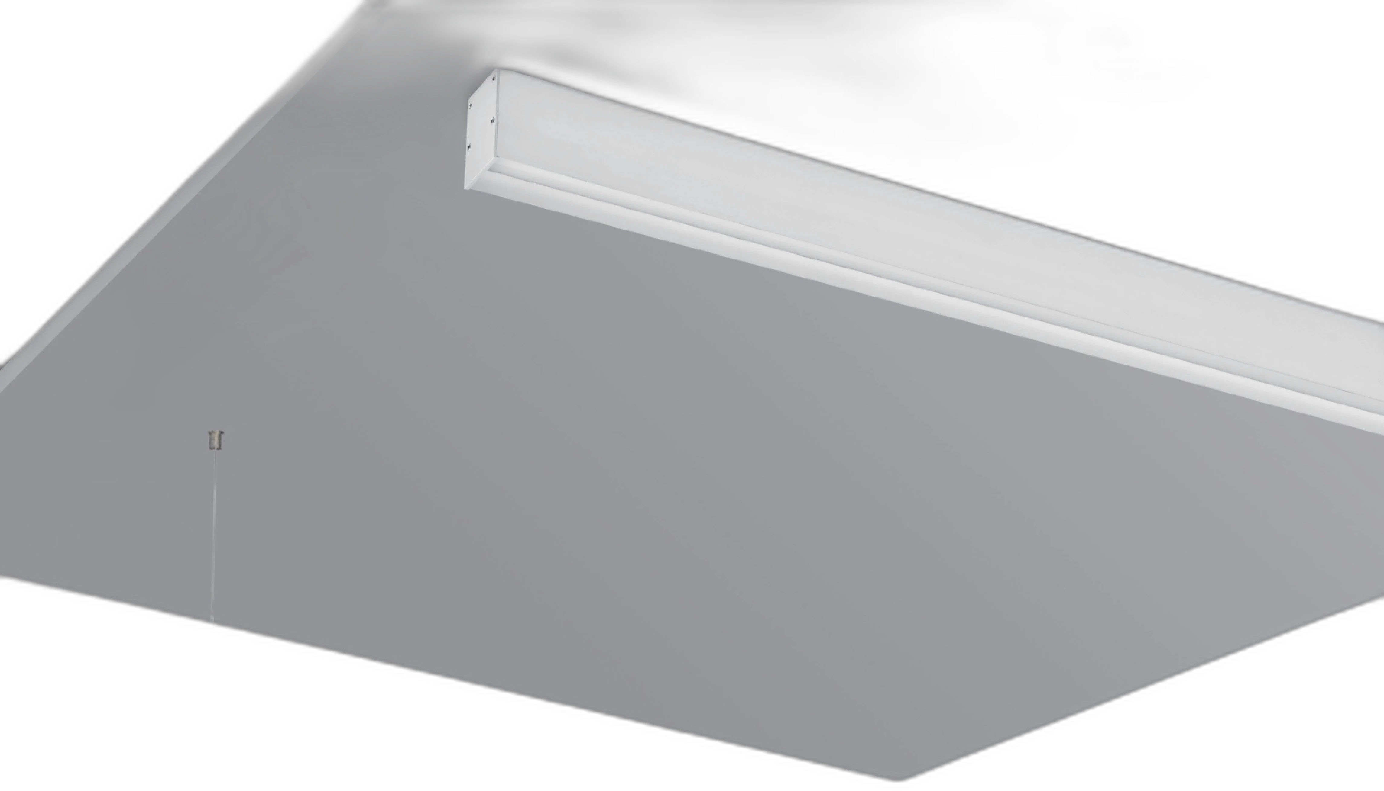 MS-T19 Linear Light